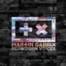 Forbidden Voices album art
